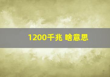 1200千兆 啥意思